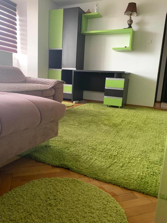 Modern Apartment Pitesti